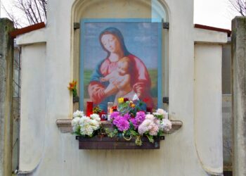 Recensioni / GAREGNANO, indagine sulla chiesa scomparsa due secoli fa