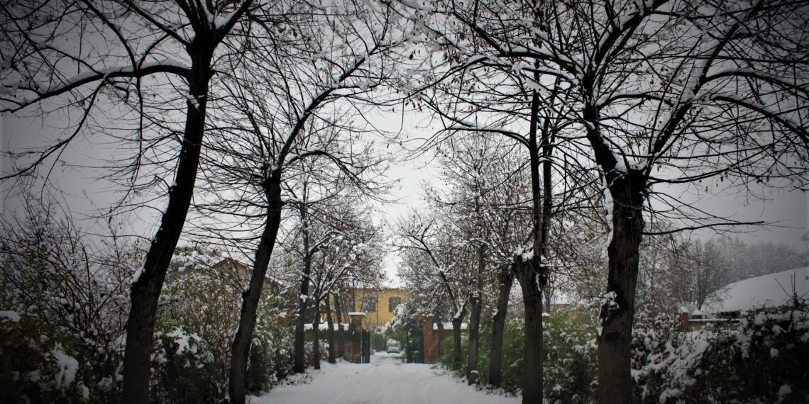 Villa Landa, viale d'ingresso in inverno [Foto Roberto Visigalli]