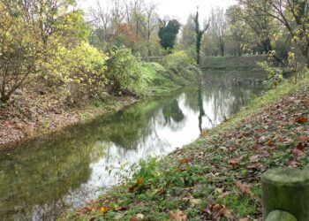 Area naturalistica con la rete (intatta) di fontanili e cascine