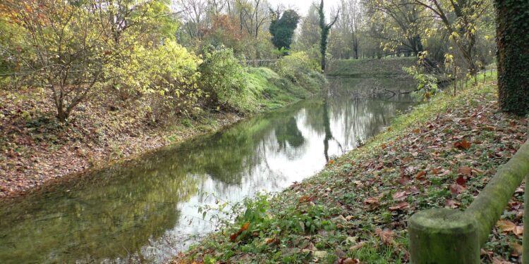 Area naturalistica con la rete (intatta) di fontanili e cascine