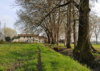 L’IMPEGNO PER SALVARE CASCINA CAMPAZZINO