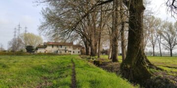 La strada per Campazzino lungo il Ticinello