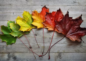 DA OTTOBRE A NOVEMBRE: concerti, incontri e conferenze
