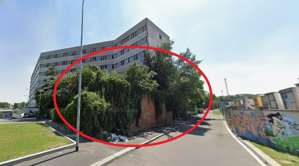 La chiesetta sommersa da vegetazione spontanea